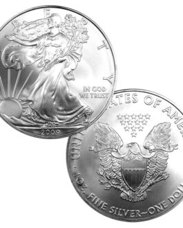 2009 1 oz American Silver Eagle Coin