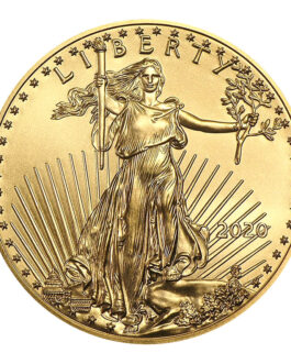 2020 1 oz American Gold Eagle Coin