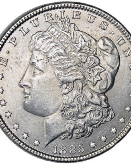 Morgan Silver Dollar Coin (1878-1904, Good)