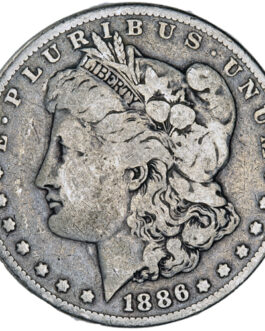 Morgan Silver Dollar Coin (1878-1904, Fine)