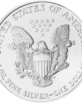 2003 1 oz American Silver Eagle Coin