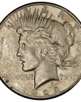 Peace Silver Dollar Coin (Cull)