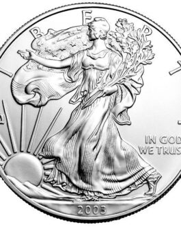 2003 1 oz American Silver Eagle Coin