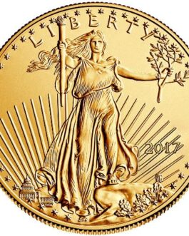 2017 1/10 oz American Gold Eagle Coin