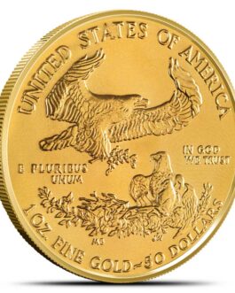 1 oz American Gold Eagle Coin (Random Year)