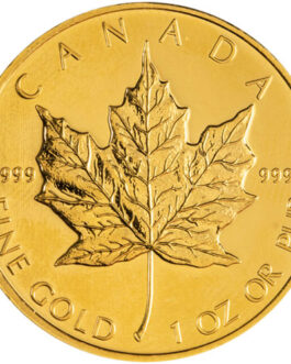 2009 1 oz Canadian Gold Maple Leaf Coin