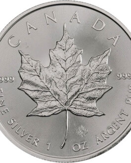 2019 1 oz Canadian Silver Maple Leaf Coin (BU)